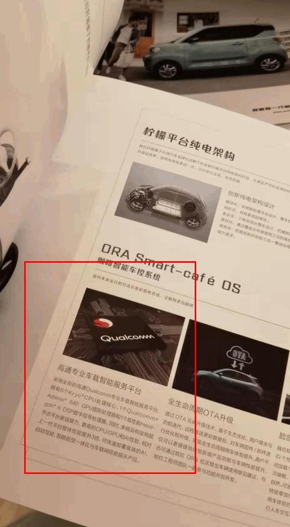 长城,欧拉,欧拉好猫,发现