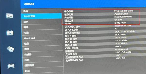 长城,欧拉,欧拉好猫,发现