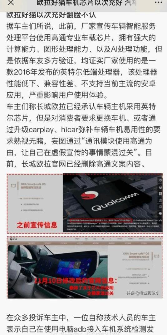 长城,欧拉,欧拉好猫,发现