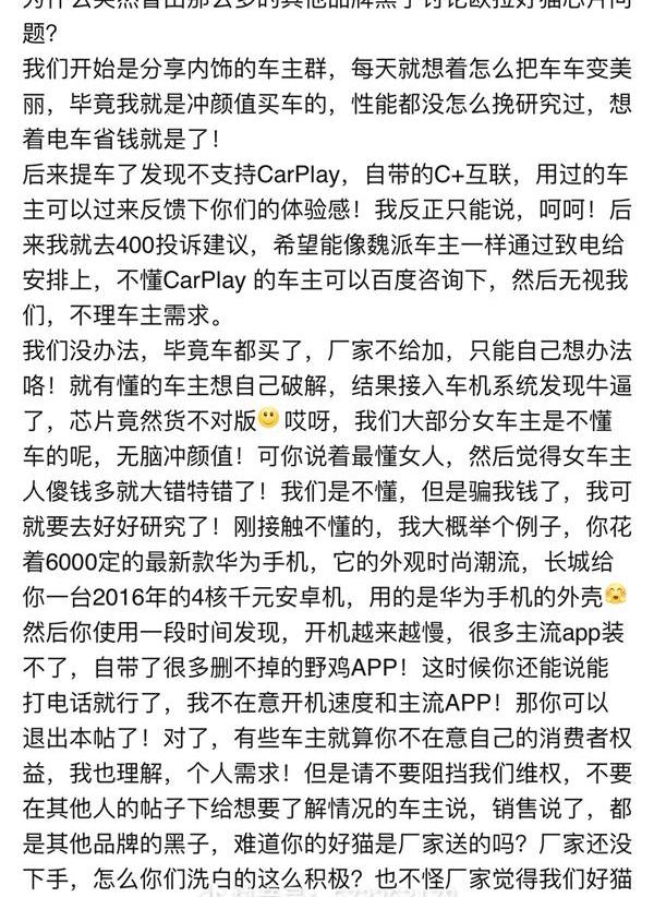 长城,欧拉,欧拉好猫,发现