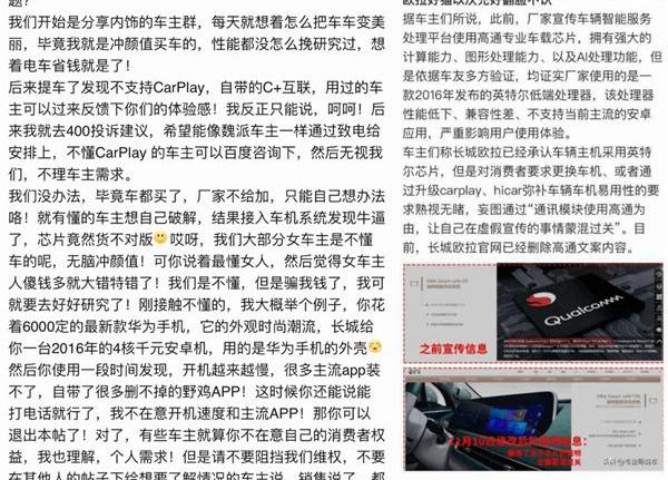欧拉,长城,欧拉好猫