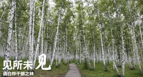 路虎,揽胜,发现,揽胜运动版,揽胜极光