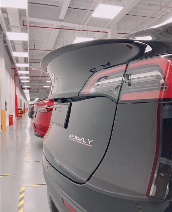 Model Y,特斯拉
