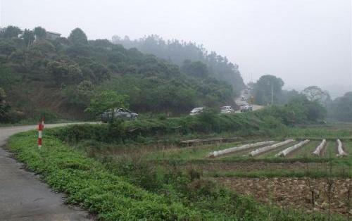 丰田,昂扬,飞驰,东风