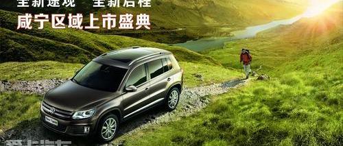 蒙迪欧,福特,长安,大众,迈腾