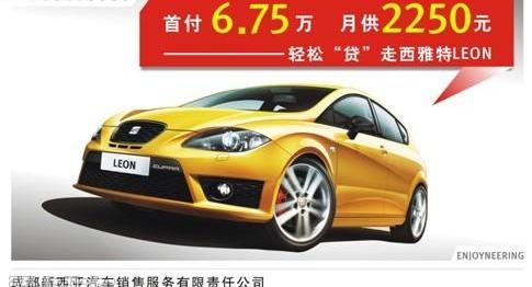 炮,大众,发现,昂扬,高尔夫