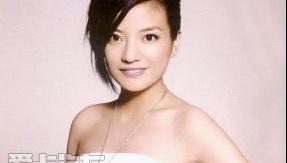 标致,东风,大众,宝来,昂扬