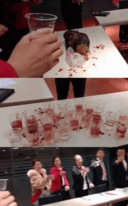 东风,起亚