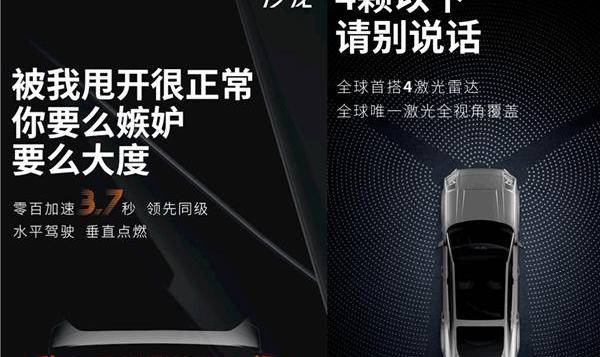 沙龙汽车,长城,特斯拉,Model 3,小鹏