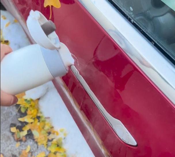 特斯拉,Model 3,北京,Model Y,远程
