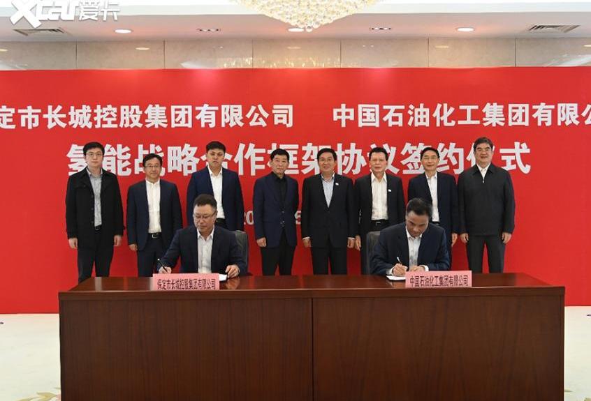 长安,比亚迪,长城,哪吒汽车,宝马