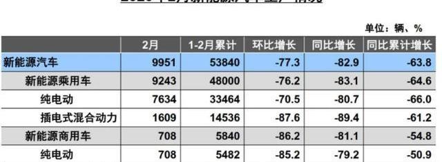 比亚迪,发现,北京,特斯拉,比亚迪e2