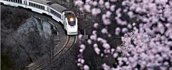 丰田,北京,大众,安凯客车,蔚来