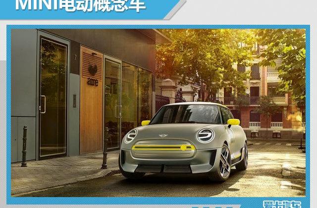 长城,宝马,MINI,哈弗,特斯拉