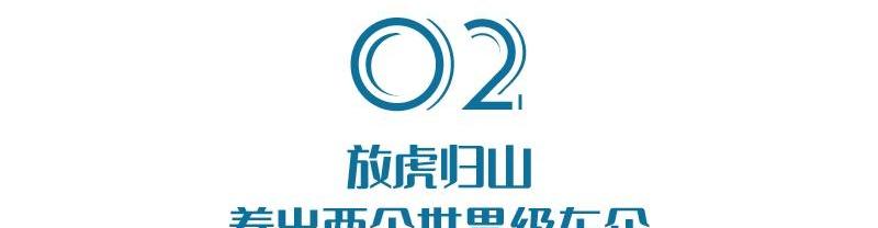 沃尔沃,福特,极氪,奔驰,大众