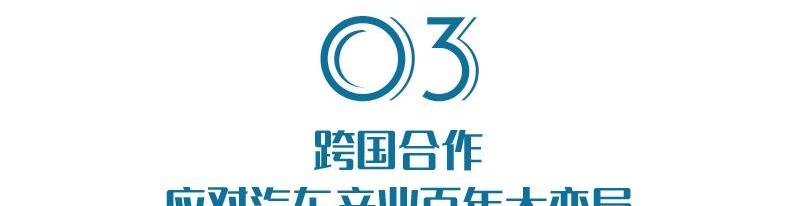 沃尔沃,福特,极氪,奔驰,大众