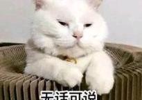 索纳塔,北京,理念,现代