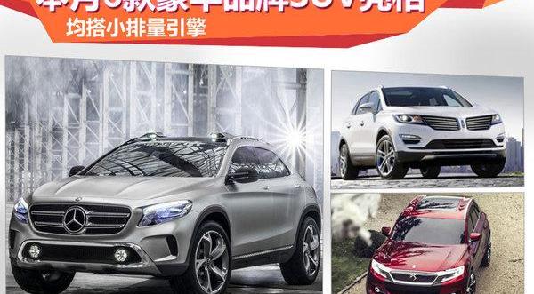 DS,北京,揽胜,林肯,奔驰