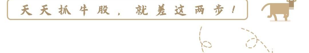 比亚迪,理念,北京