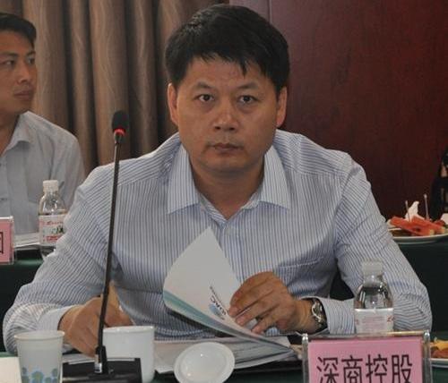 众泰,红旗,凯翼,发现,奇瑞