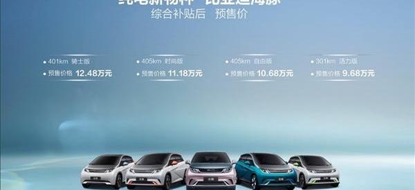 海豚,比亚迪,炮
