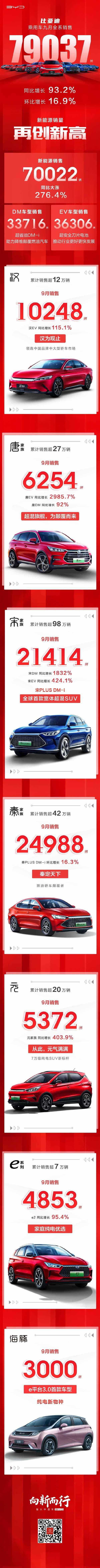 比亚迪,海豚