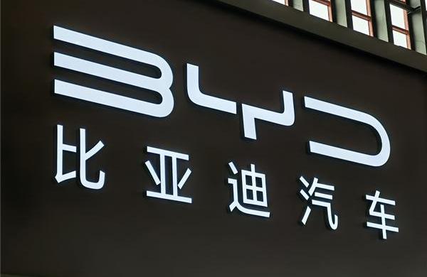 比亚迪,海鸥,海豹