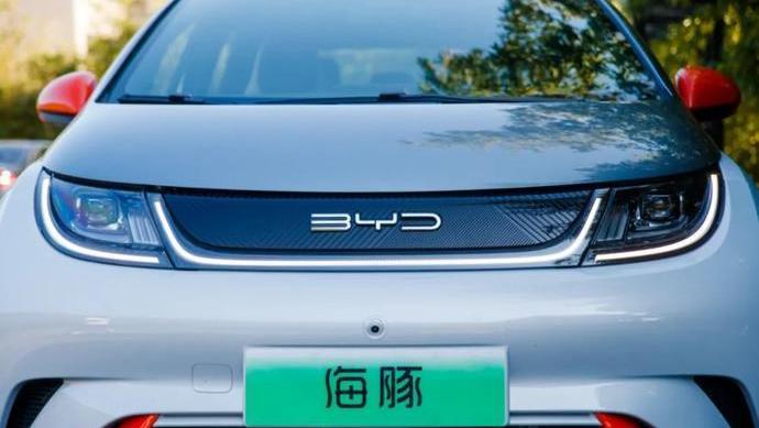 比亚迪,海豚,海鸥,长城,欧拉