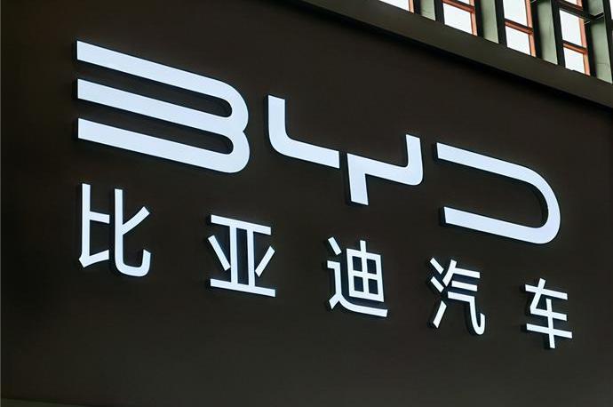 比亚迪,海豚,海鸥,长城,欧拉