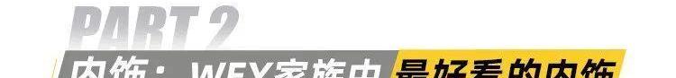 摩卡,坦克