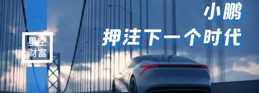 小鹏,蔚来,汉,小鹏P7,比亚迪