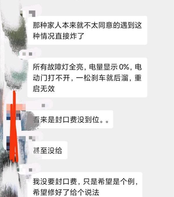 极氪