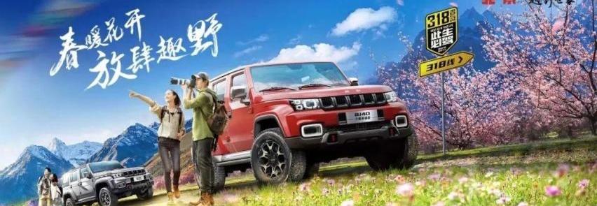 东风,比亚迪,长安,北京,一汽
