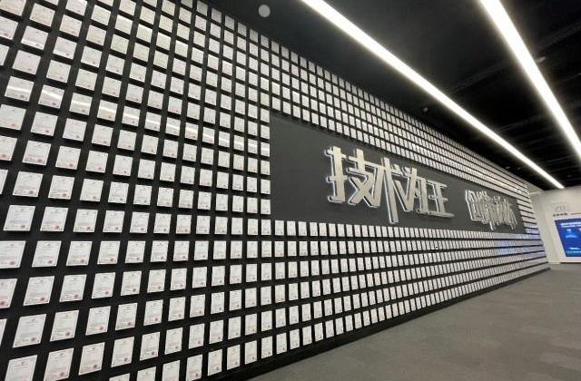 比亚迪,汉,北京