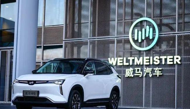 威马汽车,小鹏,蔚来,理想汽车,特斯拉