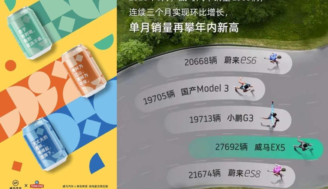 威马汽车,小鹏,蔚来,理想汽车,特斯拉