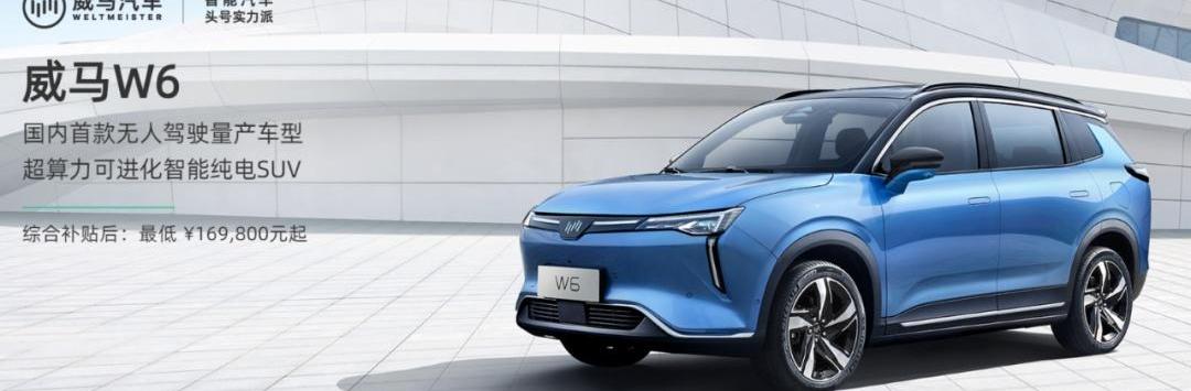 威马汽车,小鹏,蔚来,理想汽车,特斯拉