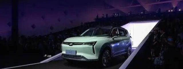 威马汽车,小鹏,蔚来,理想汽车,特斯拉