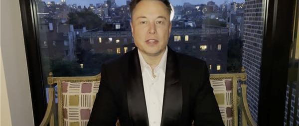 特斯拉,比亚迪,大众,长城,Model 3
