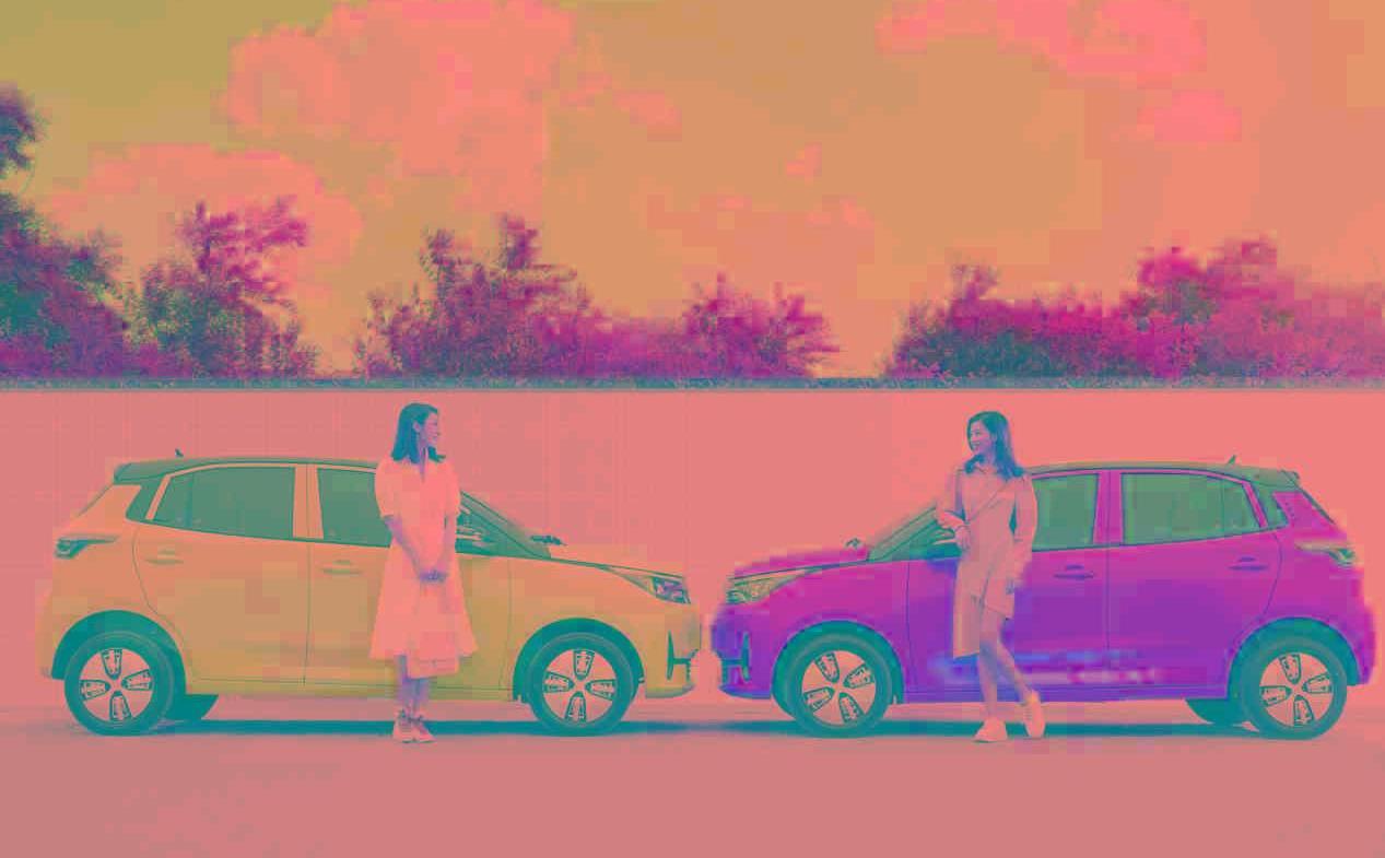 比亚迪,MINI,奇瑞,理想ONE,Model Y