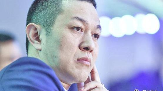 蔚来,DS,理想汽车,汉,小鹏