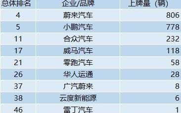北京,比亚迪,MINI,蔚来,高合HiPhi
