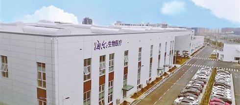 汉,比亚迪,长城,MINI,欧拉