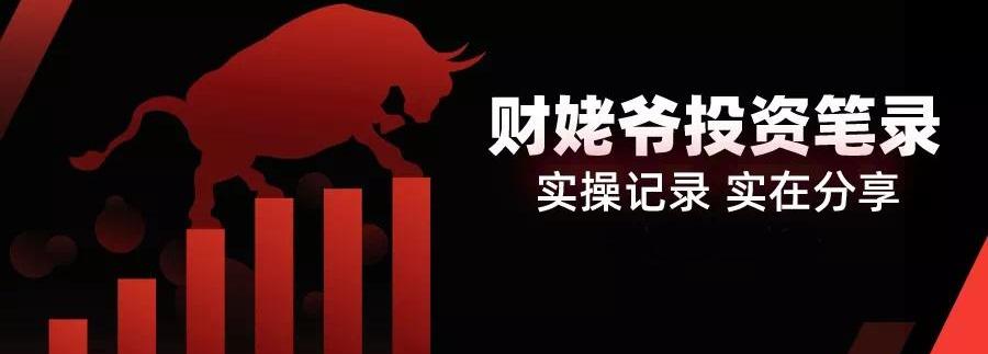 比亚迪,DS