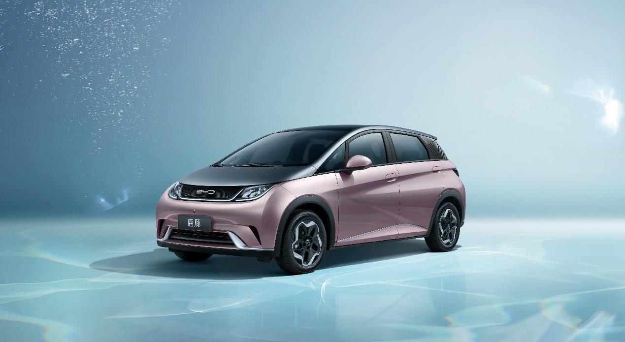 奥迪,比亚迪,理想汽车,海豚,大众