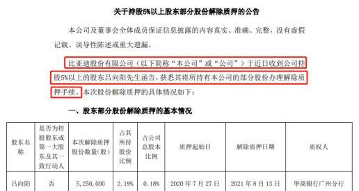 比亚迪,海豚