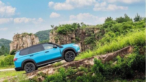 上汽大通MAXUS,上汽大通MAXUS D90 Pro,圆梦,远程