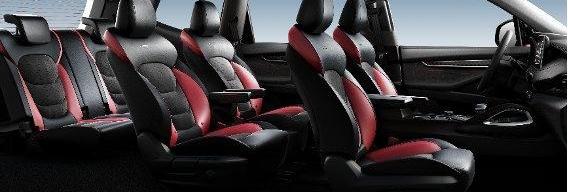 上汽大通MAXUS,上汽大通MAXUS D90 Pro,圆梦,远程