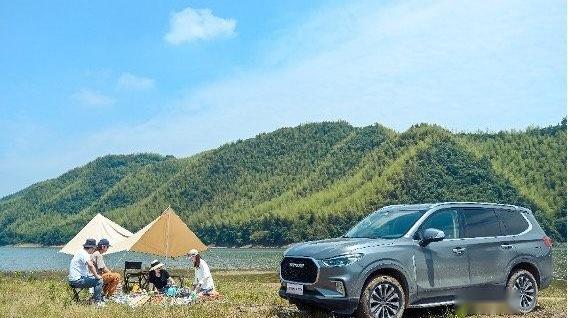 上汽大通MAXUS,上汽大通MAXUS D90 Pro,圆梦,远程