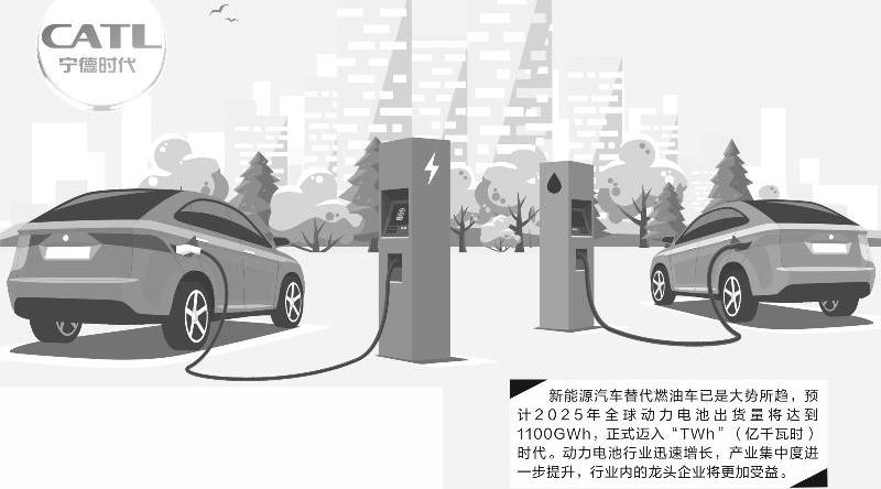 蔚来,宝马,标致,特斯拉,雪铁龙